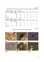 Referāts 'Mikroplastmasas piesārņojums Rīgas līča ūdens virsējā slānī', 23.