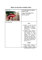 Konspekts 'Mācību stundas plāns sociālajās zinībās 1.klasei', 1.