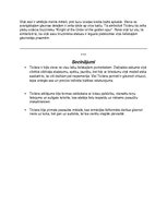 Prezentācija 'Ticiāns', 26.