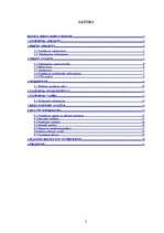 Biznesa plāns 'Biznesa plāns SIA "Cactus"', 2.