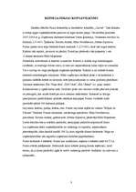 Biznesa plāns 'Biznesa plāns SIA "Cactus"', 3.