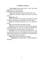 Biznesa plāns 'Biznesa plāns SIA "Cactus"', 4.