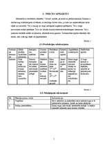 Biznesa plāns 'Biznesa plāns SIA "Cactus"', 5.