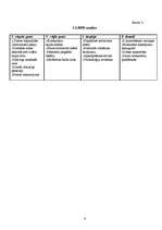 Biznesa plāns 'Biznesa plāns SIA "Cactus"', 8.