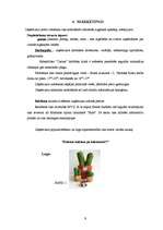 Biznesa plāns 'Biznesa plāns SIA "Cactus"', 9.