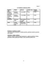 Biznesa plāns 'Biznesa plāns SIA "Cactus"', 10.