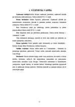 Biznesa plāns 'Biznesa plāns SIA "Cactus"', 12.