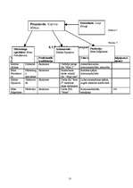 Biznesa plāns 'Biznesa plāns SIA "Cactus"', 13.