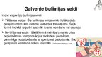 Prezentācija 'Anorexia nervosa (anoreksija), bulimia nervosa (bulīmija), kompulsīvā pārēšanās', 24.