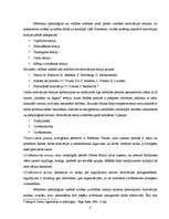 Referāts 'Motivācija', 8.