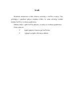 Referāts 'Konflikti', 3.