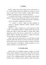 Referāts 'Konflikti', 4.