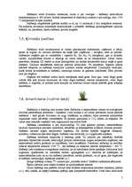 Referāts 'Skābeklis ', 7.