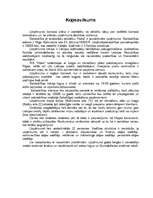 Biznesa plāns 'SIA "Haka"', 4.