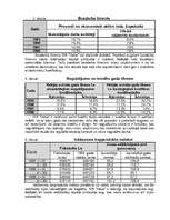 Biznesa plāns 'SIA "Haka"', 12.