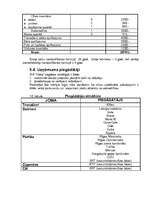 Biznesa plāns 'SIA "Haka"', 20.