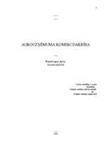 Referāts 'Eiro', 2.