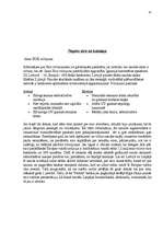 Referāts 'Eiro', 10.