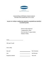 Referāts 'Mazo un vidējo uzņēmumu kredīta saņemšanas iespēju salīdzinājums', 1.