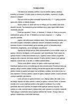 Referāts 'Agresijas izpausmes 11–13 gadus veciem pusaudžiem', 20.