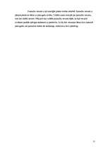 Referāts 'Agresijas izpausmes 11–13 gadus veciem pusaudžiem', 21.