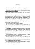 Konspekts 'Uzmanība', 1.