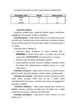 Konspekts 'Uzmanība', 2.