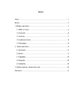 Referāts 'Organizācijas ārējie un iekšējie vides faktori', 1.