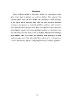 Referāts 'Organizācijas ārējie un iekšējie vides faktori', 12.