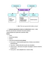 Paraugs 'Viesnīcas idejas apraksts', 3.