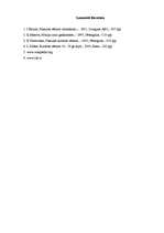 Referāts 'Mūzika 19.gs. pirmajā pusē', 15.