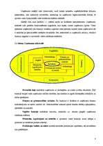 Konspekts 'Uzņēmējdarbība', 8.