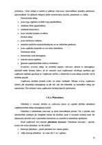 Konspekts 'Uzņēmējdarbība', 19.