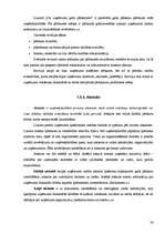 Konspekts 'Uzņēmējdarbība', 24.