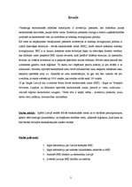 Referāts 'Brīvās ekonomiskās zonas Latvijā', 3.