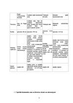 Referāts 'Brīvās ekonomiskās zonas Latvijā', 6.