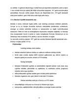 Referāts 'Brīvās ekonomiskās zonas Latvijā', 10.