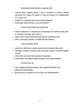 Referāts 'Brīvās ekonomiskās zonas Latvijā', 11.