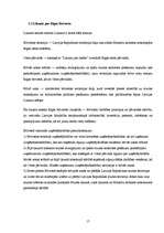 Referāts 'Brīvās ekonomiskās zonas Latvijā', 17.