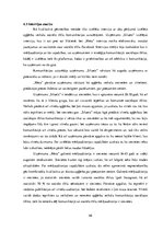 Diplomdarbs 'Apģērbu veikalu "Siluets" un "Meta" sociālo mediju  mārketinga komunikācija', 46.