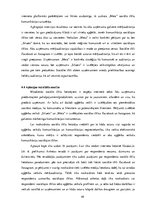 Diplomdarbs 'Apģērbu veikalu "Siluets" un "Meta" sociālo mediju  mārketinga komunikācija', 49.