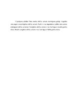 Diplomdarbs 'Apģērbu veikalu "Siluets" un "Meta" sociālo mediju  mārketinga komunikācija', 119.