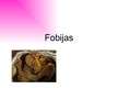 Prezentācija 'Fobijas', 1.