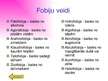 Prezentācija 'Fobijas', 11.