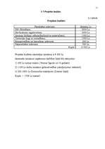 Biznesa plāns 'Maksas autostāvvieta SIA "Safers"', 11.