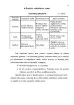 Biznesa plāns 'Maksas autostāvvieta SIA "Safers"', 12.