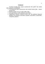 Biznesa plāns 'Maksas autostāvvieta SIA "Safers"', 15.