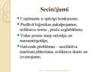 Prezentācija 'Loģistikas procesu uzlabošana SIA "Abava"', 10.