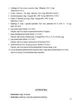 Referāts 'Izklāsts par ozona slāni pamatskolas skolēniem', 20.