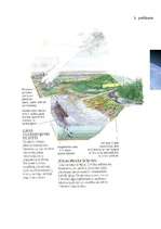 Referāts 'Izklāsts par ozona slāni pamatskolas skolēniem', 28.